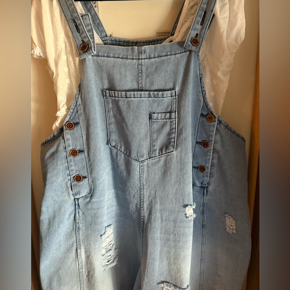 Blue Denim Distressed Overalls - Picture 3 of 7